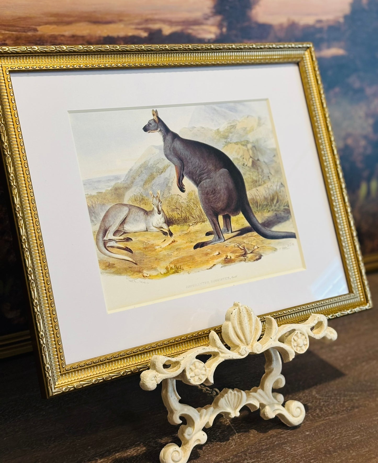 Framed Wallaroo Book Plate 11 x 14