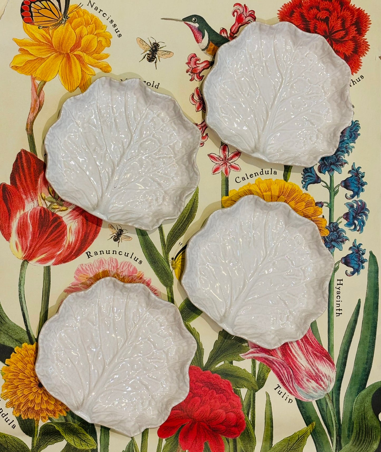 Set of 4 White cabbage plates 6.75 x 7.75
