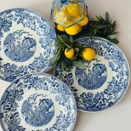 Set of 5 Blue and White plates 9.5 x 1.25