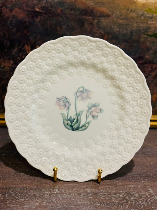Set of 4 Spode Provincial Flowers Plates 9 w