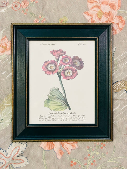 Set of 4 Framed Green Botanicals  11.5 x 13.5 x .75
