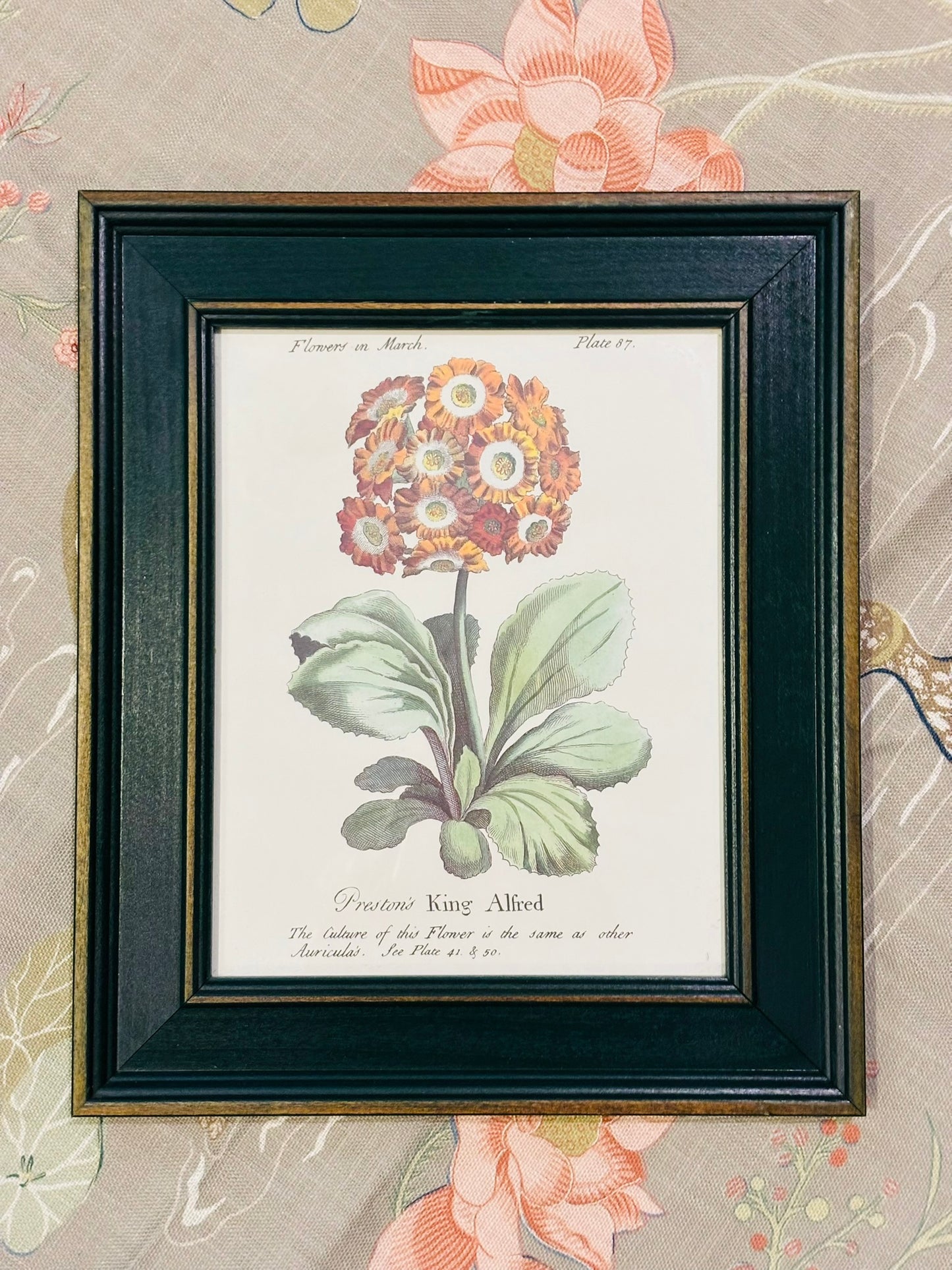 Set of 4 Framed Green Botanicals  11.5 x 13.5 x .75