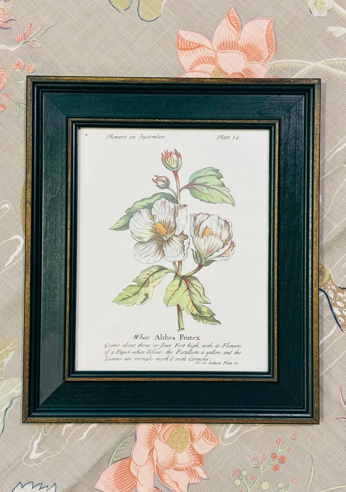 Set of 4 Framed Green Botanicals  11.5 x 13.5 x .75