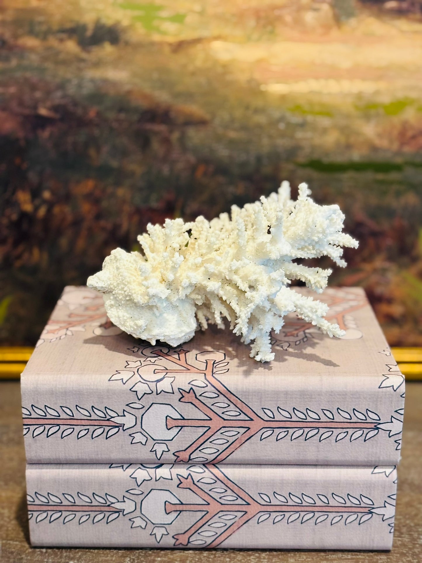 Natural White Coral Specimen 7 l 5 h 6 w