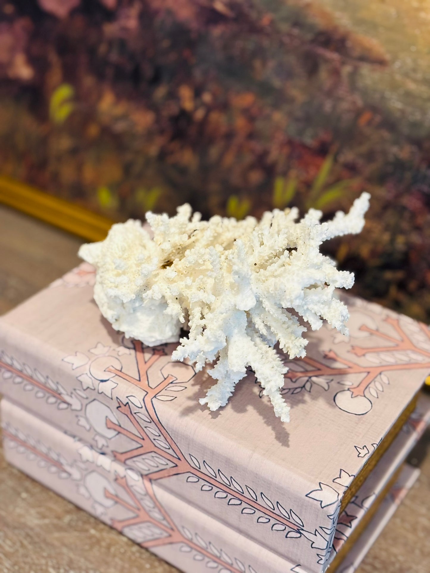 Natural White Coral Specimen 7 l 5 h 6 w