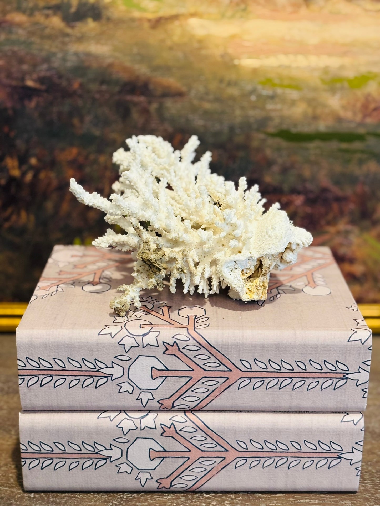 Natural White Coral Specimen 7 l 5 h 6 w