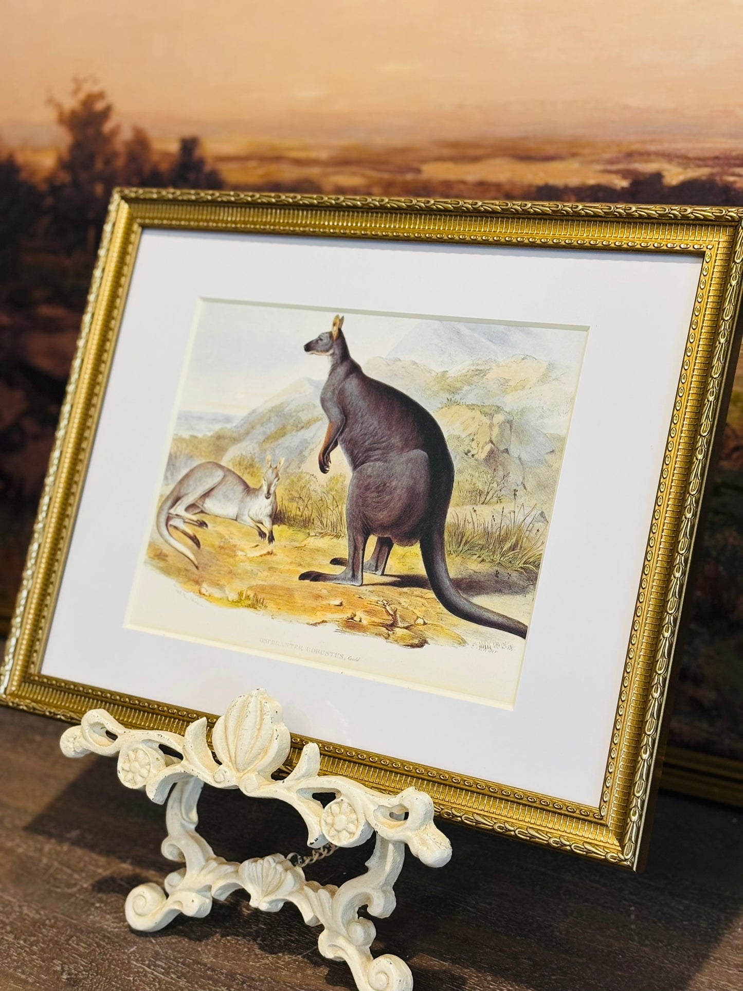 Framed Wallaroo Book Plate 11 x 14