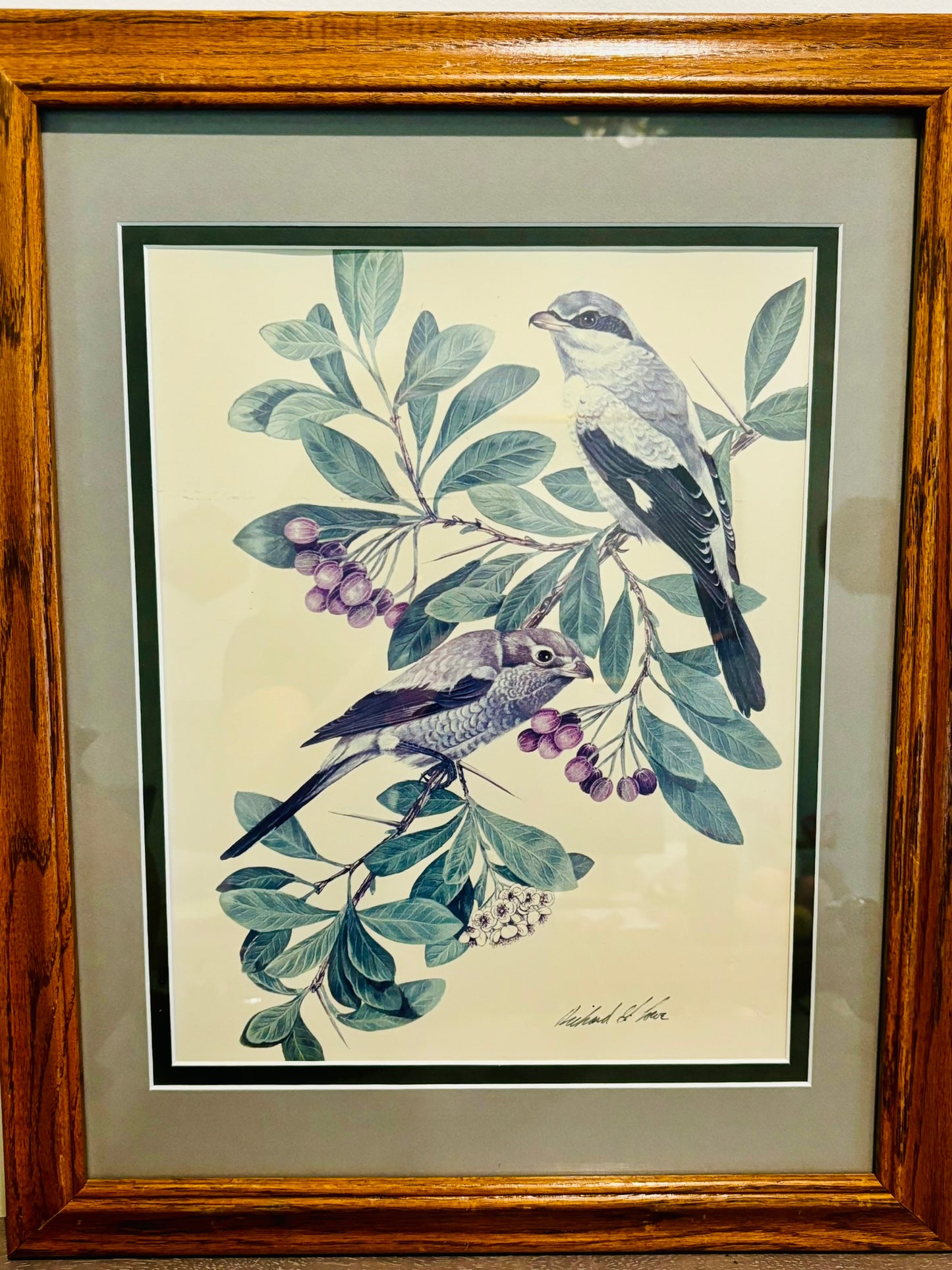 Framed Richard Lowe Sparrow Art signed 16 x 20